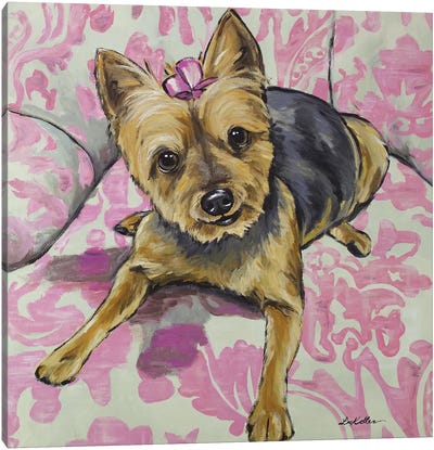 Yorkie - Zooey Canvas Art Print - Yorkshire Terrier Art