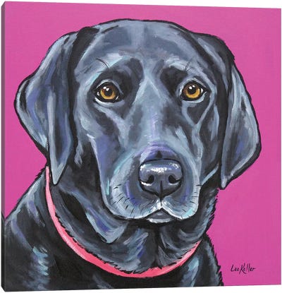 Black Lab On Pink Canvas Art Print - Labrador Retriever Art