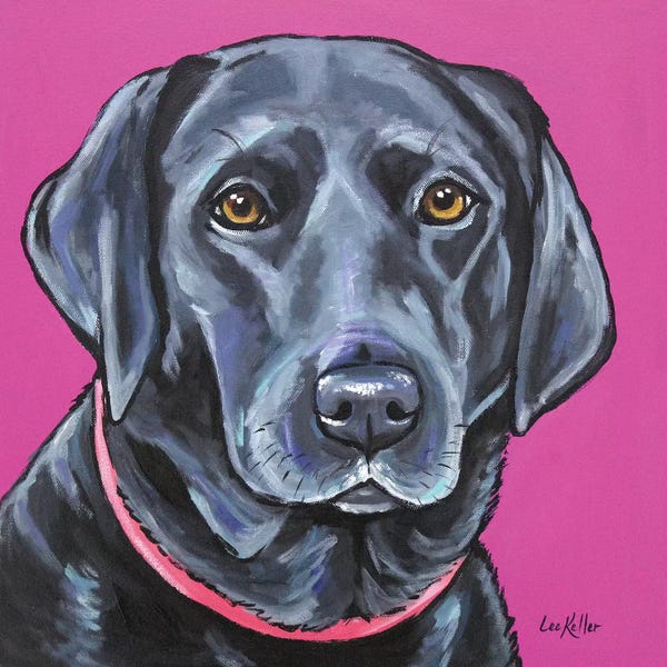 Hippie Hound Studios: Black Lab On Pink by Hippie Hound Studios