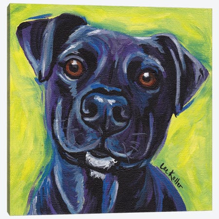 Expressive Black Dog Canvas Print #HHS23} by Hippie Hound Studios Canvas Art