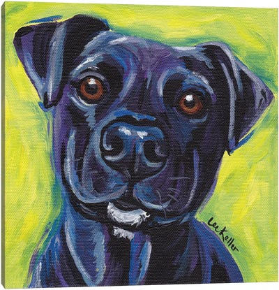 Expressive Black Dog Canvas Art Print - Mutts
