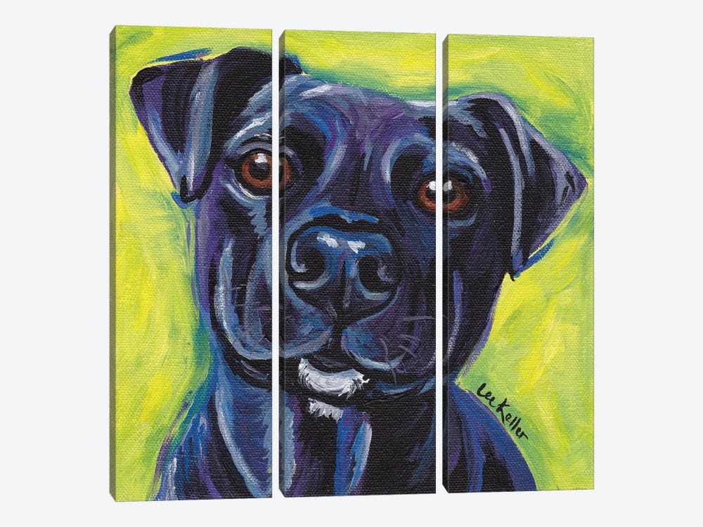 Expressive Black Dog by Hippie Hound Studios 3-piece Canvas Art Print