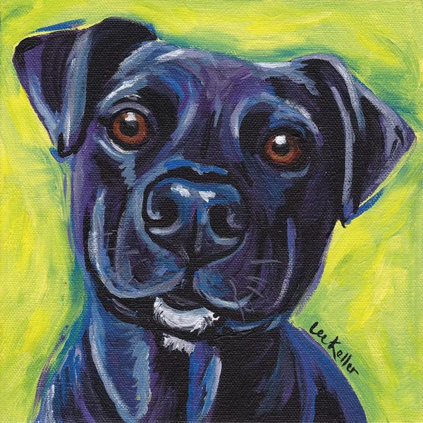 Hippie Hound Studios: Expressive Black Dog by Hippie Hound Studios