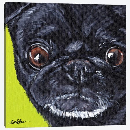 Black Pug On Green Canvas Print #HHS240} by Hippie Hound Studios Canvas Art