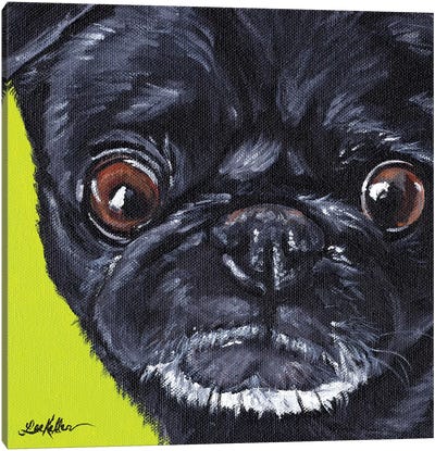 Black Pug On Green Canvas Art Print - Hippie Hound Studios