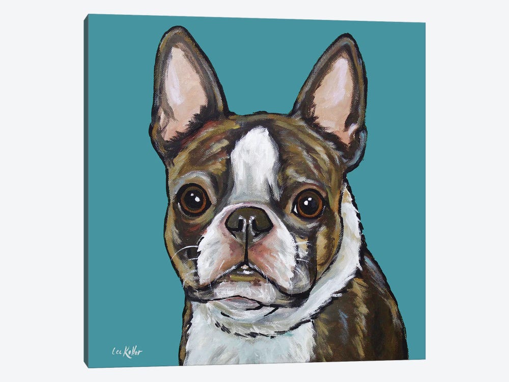 Boston Terrier - Sasha On Teal by Hippie Hound Studios 1-piece Art Print