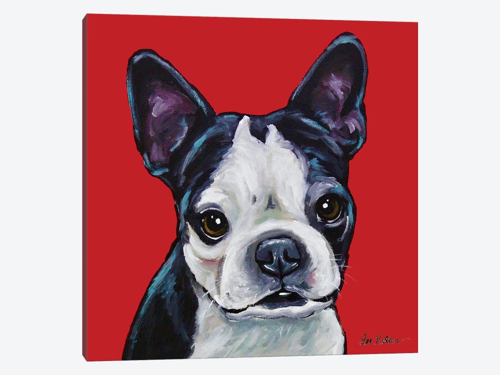 Boston Terrier - Sophie On Red by Hippie Hound Studios 1-piece Canvas Art