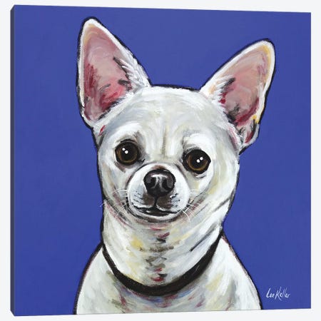 Chihuahua - Pepe Canvas Print #HHS244} by Hippie Hound Studios Canvas Print