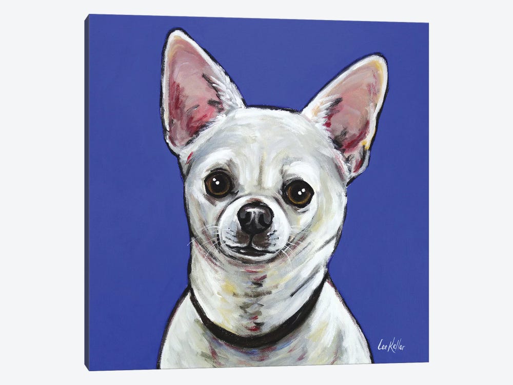 Chihuahua - Pepe by Hippie Hound Studios 1-piece Canvas Wall Art