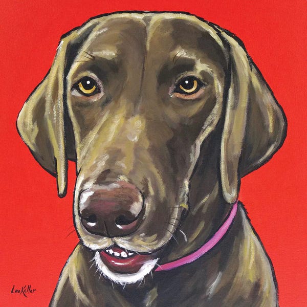 Labrador Retrievers: Chocolate Lab On Orange by Hippie Hound Studios