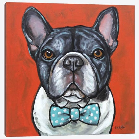 Frenchie - Louie Canvas Print #HHS249} by Hippie Hound Studios Canvas Wall Art