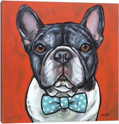 Frenchie - Louie Canvas Art Print - French Bulldog Art