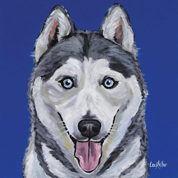 Siberian Huskies: Husky - Leia by Hippie Hound Studios
