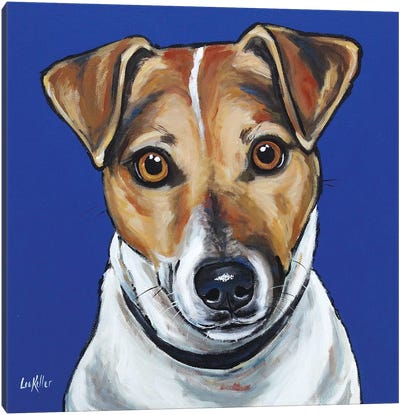 Jack Russell - Buster Canvas Art Print - Jack Russell Terrier Art