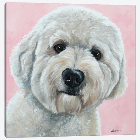 Labradoodle On Pink Canvas Print #HHS258} by Hippie Hound Studios Canvas Art Print