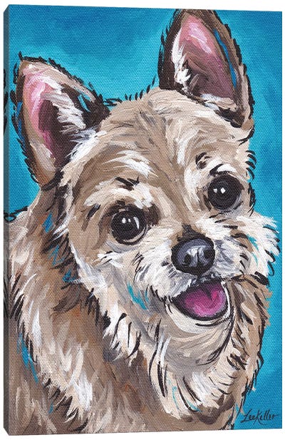 Expressive Chihuahua On Teal Canvas Art Print - Hippie Hound Studios