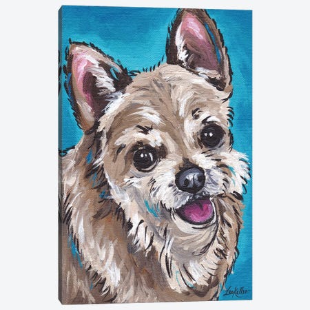 Expressive Chihuahua On Teal Canvas Print #HHS25} by Hippie Hound Studios Art Print