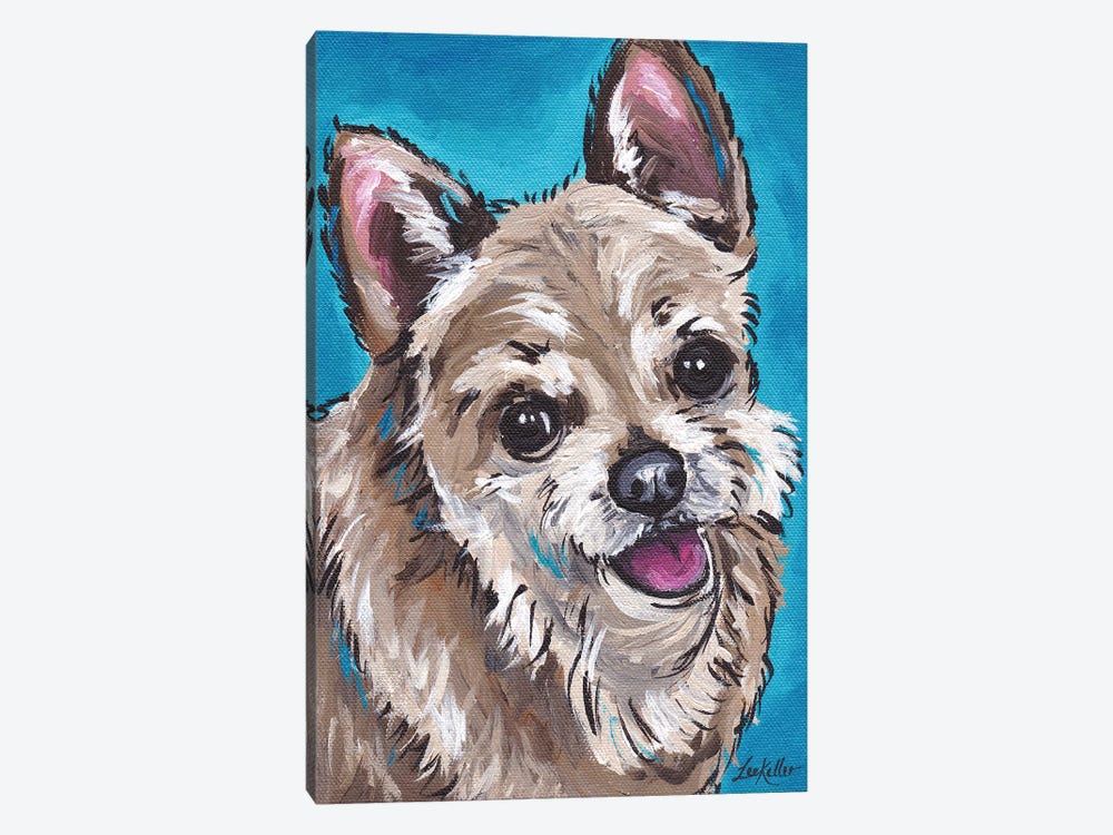 Expressive Chihuahua On Teal by Hippie Hound Studios 1-piece Canvas Art Print