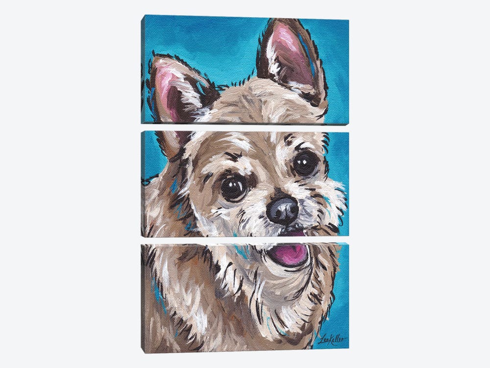 Expressive Chihuahua On Teal by Hippie Hound Studios 3-piece Canvas Art Print