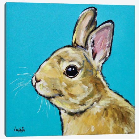 Rabbit - Napoleon Canvas Print #HHS262} by Hippie Hound Studios Canvas Art