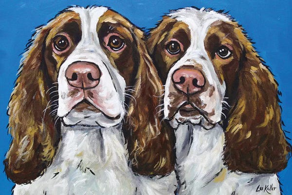 English Springer Spaniels: Springer Spaniels by Hippie Hound Studios