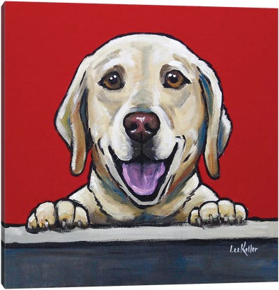 Yellow Lab - Jack Bauer Canvas Art Print - Labrador Retriever Art