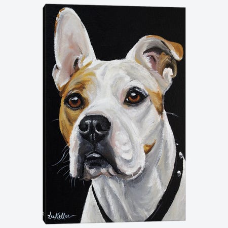 American Bulldog Canvas Print #HHS267} by Hippie Hound Studios Canvas Art Print