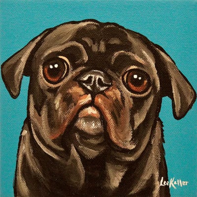 Black Pug On Teal by Hippie Hound Studios metal wall art
