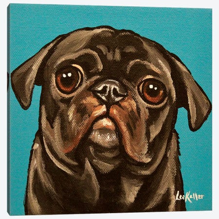 Black Pug On Teal Canvas Print #HHS270} by Hippie Hound Studios Canvas Art Print