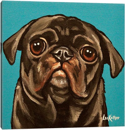 Black Pug On Teal Canvas Art Print - Pug Art