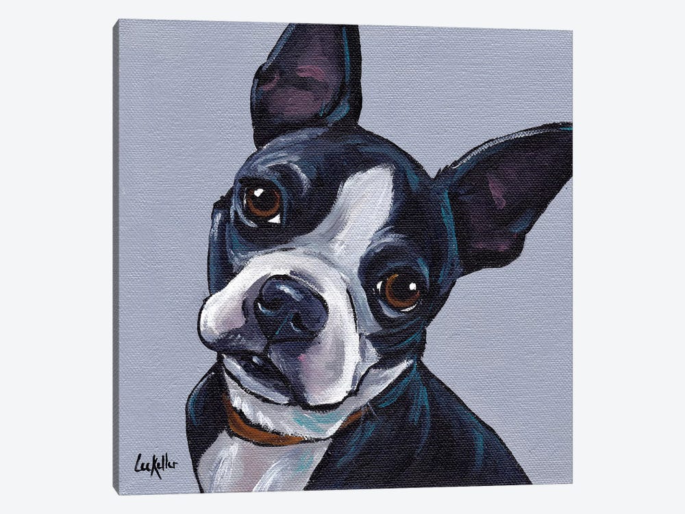 Boston Terrier On Gray by Hippie Hound Studios 1-piece Canvas Art