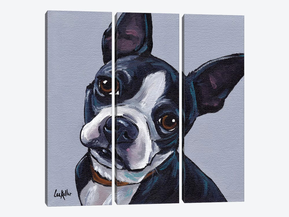 Boston Terrier On Gray by Hippie Hound Studios 3-piece Canvas Artwork