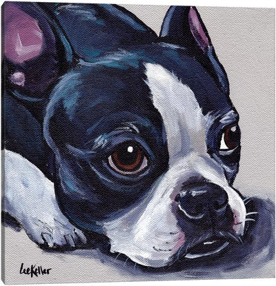 Boston Terrier On Tan Canvas Art Print - Hippie Hound Studios