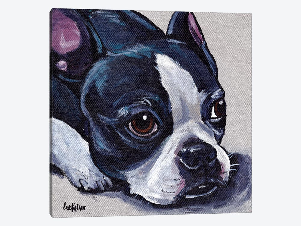 Boston Terrier On Tan by Hippie Hound Studios 1-piece Art Print