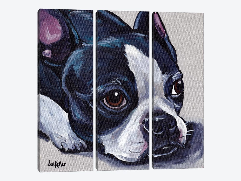 Boston Terrier On Tan by Hippie Hound Studios 3-piece Canvas Art Print