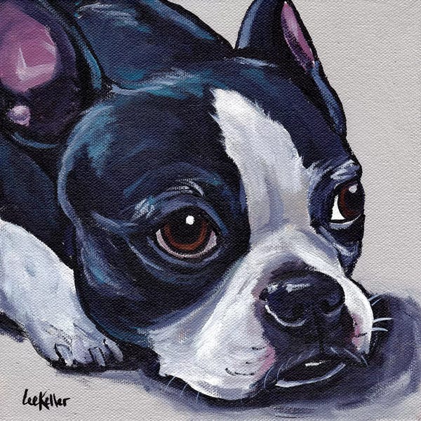 Hippie Hound Studios: Boston Terrier On Tan by Hippie Hound Studios