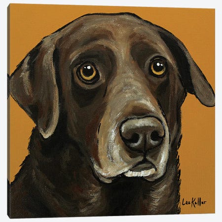 Chocolate Lab On Gold Canvas Print #HHS273} by Hippie Hound Studios Canvas Print