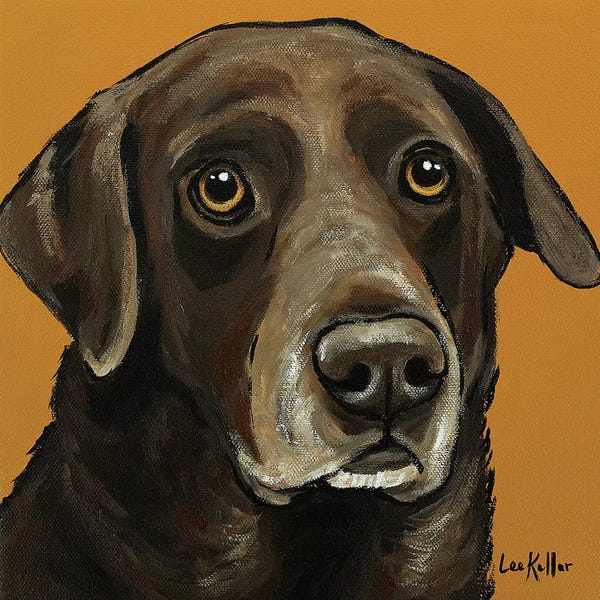 Labrador Retrievers: Chocolate Lab On Gold by Hippie Hound Studios
