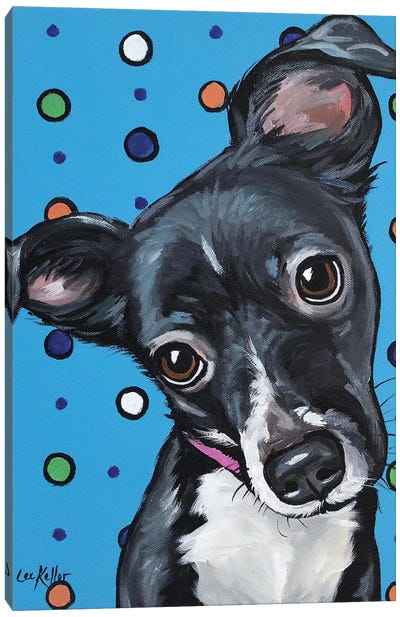 Cute Mix Breed Puppy Polka Dots Canvas Art Print - Hippie Hound Studios