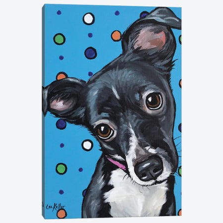 Cute Mix Breed Puppy Polka Dots Canvas Print #HHS279} by Hippie Hound Studios Art Print