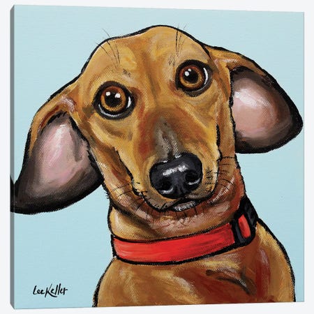 Dachshund On Turquoise Canvas Print #HHS280} by Hippie Hound Studios Canvas Wall Art