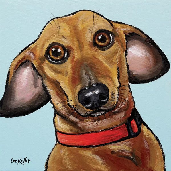 Hippie Hound Studios: Dachshund On Turquoise by Hippie Hound Studios