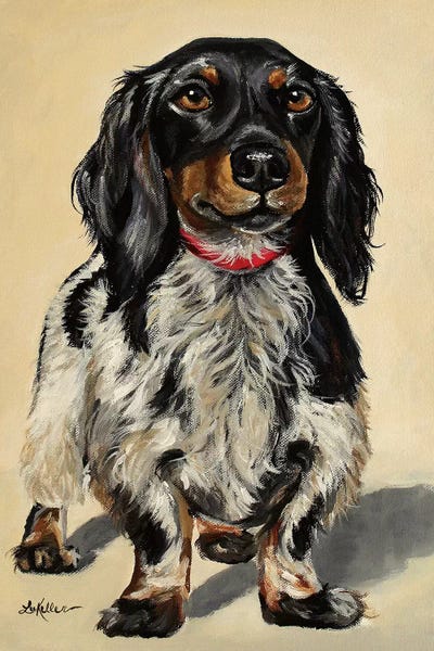 Hippie Hound Studios: Finn The Long-Haired Dachshund by Hippie Hound Studios