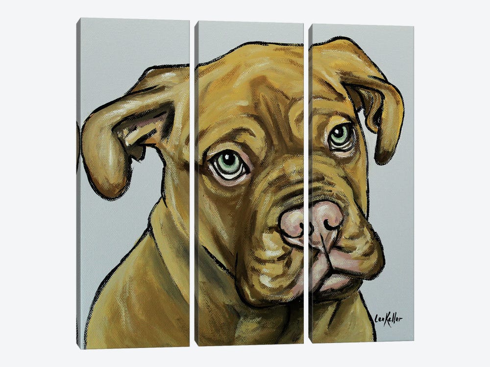 French Mastiff by Hippie Hound Studios 3-piece Canvas Artwork