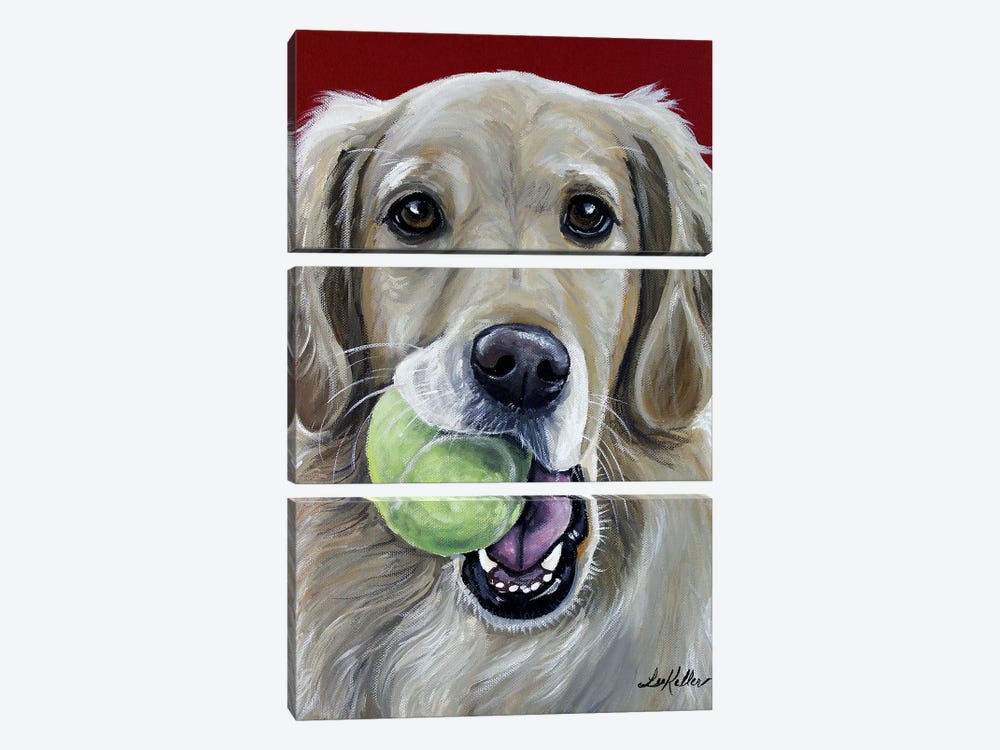 Sophie The Golden Retriever With Ball by Hippie Hound Studios 3-piece Canvas Wall Art