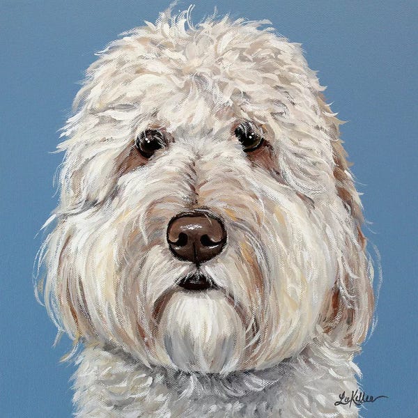 Hippie Hound Studios: Emmitt The Goldendoodle by Hippie Hound Studios