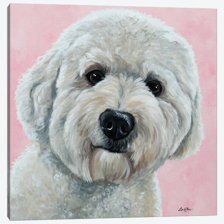 Hank The Goldendoodle Canvas Print #HHS288} by Hippie Hound Studios Canvas Wall Art