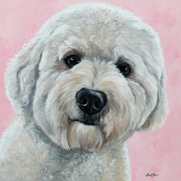 Hippie Hound Studios: Hank The Goldendoodle by Hippie Hound Studios