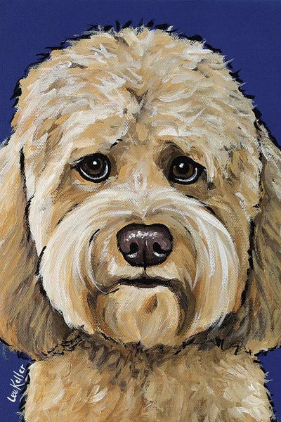 Hippie Hound Studios: Goldendoodle On Navy II by Hippie Hound Studios