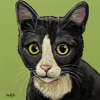 Gray Tuxedo Cat by Hippie Hound Studios metal wall art